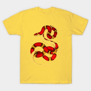 serpent,cobra,reptile,viper,venom,lizard,rattlesnake,king cobra T-Shirt